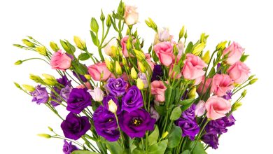 send flowers online