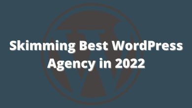 Skimming Best WordPress Agency in 2022