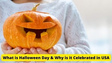 What is Halloween Day