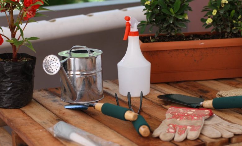 Essential Garden Tools That Every Gardener Should Have