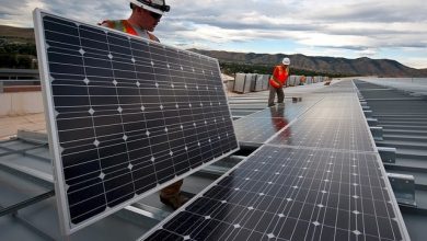 What Should I Watch Out With Solar Companies - ECO Postings