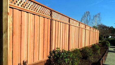 Why Redwood is the Best Choice for Wooden Fencing