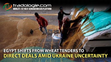 Egypt Shifts From Wheat Tenders To Direct Deals Amid Ukraine Uncertainty