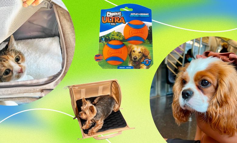 pet products