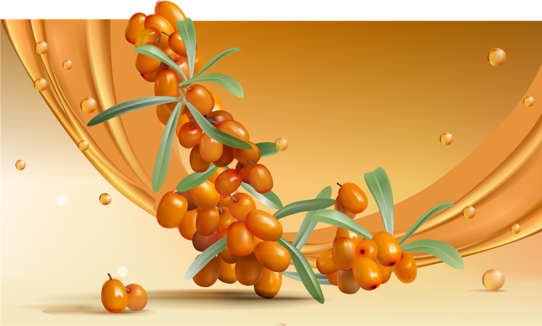 sea buckthorn