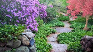 Garden Path