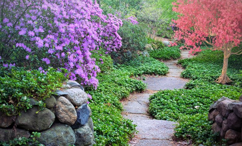 Garden Path