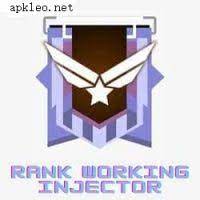 rank working injector