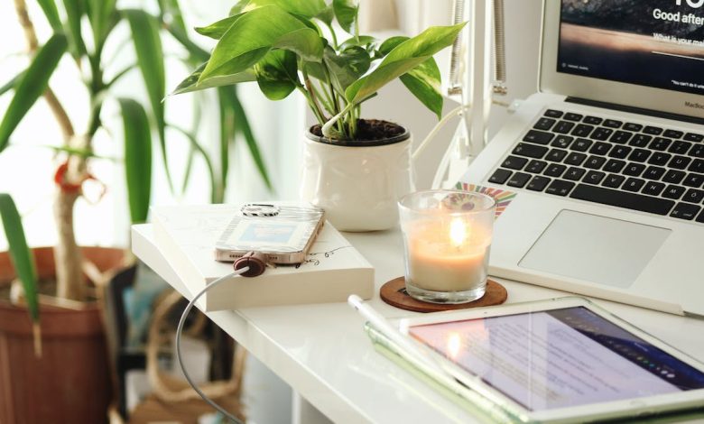 Best Indoor Plants to Add to Your Working Space to Boost Productivity
