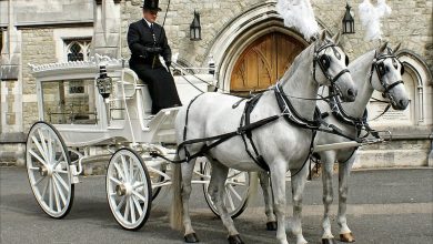 horse drawn carriage funeral