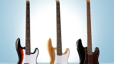 How to Know You’re Making a Good Decision Choosing a bass Guitar