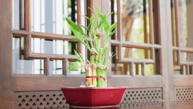 Corner Molding: The Many Benefits of Bamboo