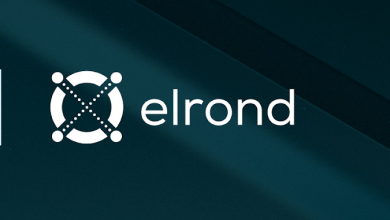 Elrond Review and Rating