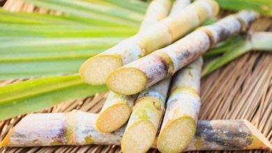 How Sugarcane Juice Affects in Erectile Dysfunction
