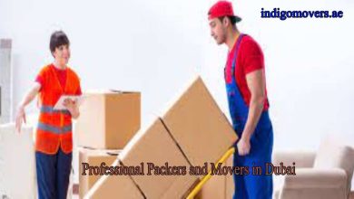 best house movers and packers in Dubai indigomovers.ae