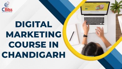Digital Marketing course in Chandigarh