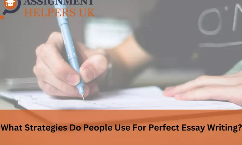 What Strategies Do People Use For Perfect Essay Writing?